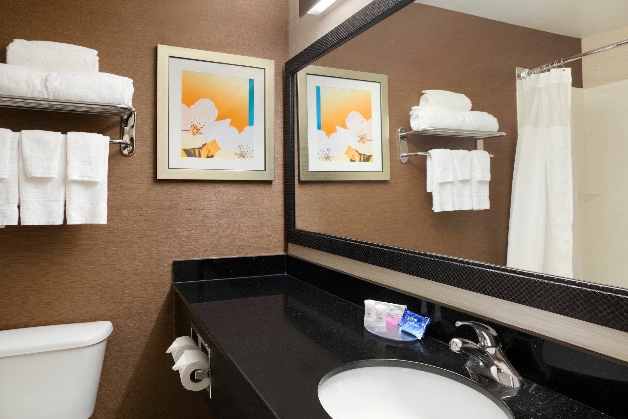 Fairfield Inn&suites Minneapolis St. Paul/roseville Hotel Roseville